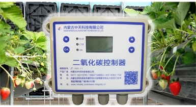 中國北方CO?新技術(shù)，將促進農(nóng)作物光合作用和光合產(chǎn)物的生成